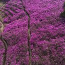 옥천원마트 이미지