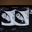 사당연세365의원 이미지