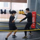 동현미트 - 홍천군 | 동현미트