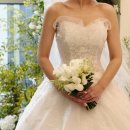 별이와콩이 | 대전 아이폰스냅 추천｜메모리아스냅 본식 서브스냅 솔직 후기