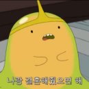 장*기 - 미추홀구 용정공원로 33 | 장*기