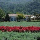 연상농장 이미지