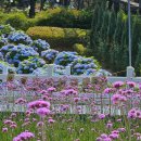 외양포공영주차장 이미지