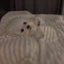 동기부여짐 이미지