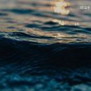 파크우드관광호텔 이미지