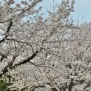 은혜매점 이미지