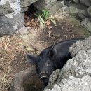 스토리펜션 - 강화군 해안남로 1630 | 스토리펜션