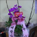 옥색치마