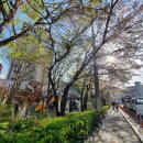 괴정1동할머니 이미지