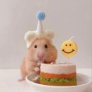 🐹 햄짱의 생일 🎂 이미지