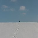 한들목장 이미지