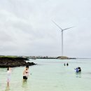 돌고래PC | 제주도 코난비치 스노쿨링 장비 대여 월정뷰대여점 김녕해수욕장 코난해변 스노클링 후기