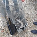 단강낚시터 이미지