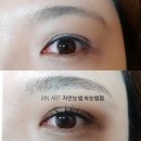 눈썹반영구(페이스아트) 이미지