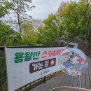 월촌초교 | 서울 양천구 용왕산 스카이워크 아기랑 유모차로 계단 없이 야경 본 후기