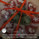 부평가정교회 | 바람떡&amp;송편&amp;모찌 연말&amp;송년회 답례떡 선물추천 김포 인천 검단 청라 부평 송도 [리오브케이크 떡공방]