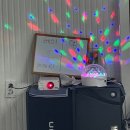 영팔이펜션2