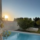 사라보카 이미지