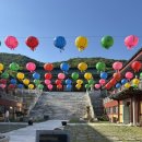 스테이배 | 청춘 템플스테이 서울 근교 후기 예약 강아지 행복 두배