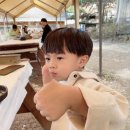 주식회사 선 이미지