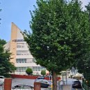 희망대공원길 이미지