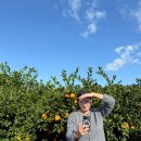 이시돌농장 | 제주여행 3일차(번네식당, 성이시돌 목장)