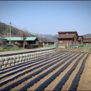 어암1리 이미지