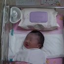 채윤태어남 이미지