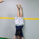 일진태권도장 | 해림초체력증진 추천하는 태권도장! GL 부산대 체육관 만족 후기^^