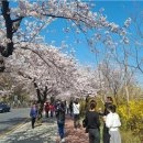 여의서로 이미지