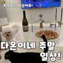 다온아구 이미지