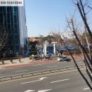 상남동155 이미지