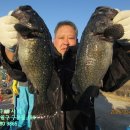 해솔바다낚시터 이미지