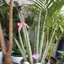 정휘한의원 이미지