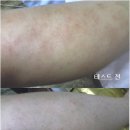 에버노블 이미지