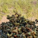 농부의 열매 이미지