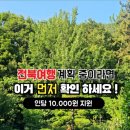 슬기로운 펜션 네이버블로그