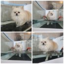 멍스테이션 이미지