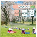 [카드뉴스] 녹차의 수도 '보성의 봄 풍경' - '벚꽃 축제 & 다향 대축제' 이미지