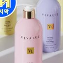 비바워시 이미지