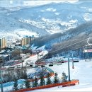 비고리조트 18 이미지