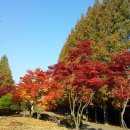 풍경약국 이미지