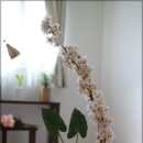 하울의 집