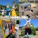 경남 창녕 아이와 가볼만한 곳 산토끼노래동산 동물원 가족 나들이 추천