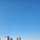 동탄청계로 | 동탄역 모아미래도 아파트 발수코팅 미세 방충망 시공 후기