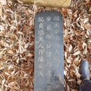 동리 농장 이미지