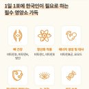 썬플라워에너지