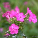 선미술관 이미지