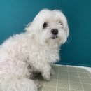 킨더그루밍 이미지