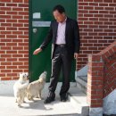 사평마을회관 이미지